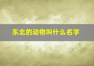 东北的动物叫什么名字