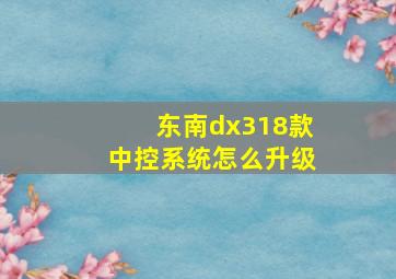 东南dx318款中控系统怎么升级