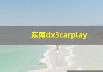 东南dx3carplay