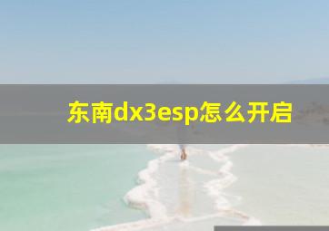 东南dx3esp怎么开启