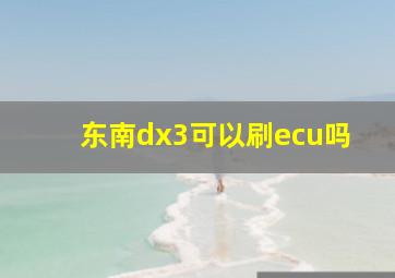 东南dx3可以刷ecu吗