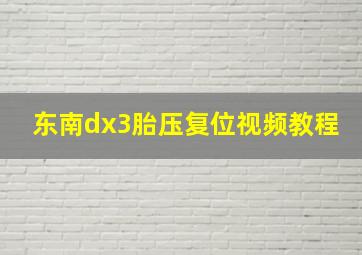 东南dx3胎压复位视频教程