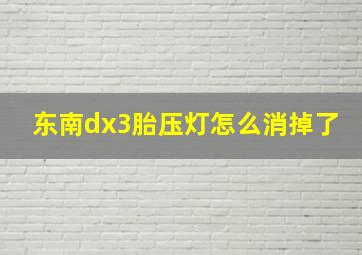 东南dx3胎压灯怎么消掉了