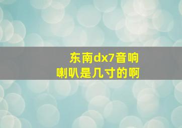 东南dx7音响喇叭是几寸的啊