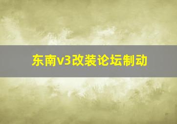 东南v3改装论坛制动