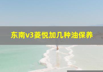 东南v3菱悦加几种油保养