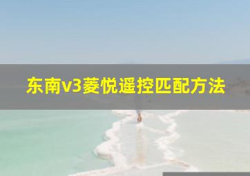 东南v3菱悦遥控匹配方法