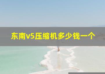 东南v5压缩机多少钱一个