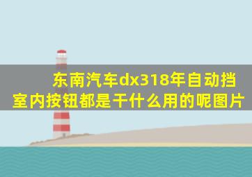 东南汽车dx318年自动挡室内按钮都是干什么用的呢图片