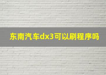 东南汽车dx3可以刷程序吗