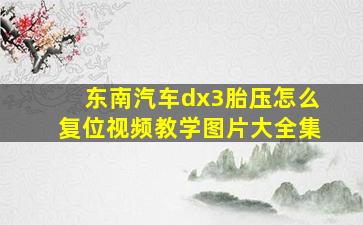 东南汽车dx3胎压怎么复位视频教学图片大全集