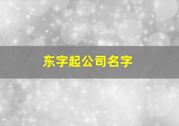 东字起公司名字