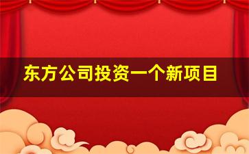 东方公司投资一个新项目