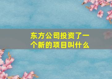 东方公司投资了一个新的项目叫什么