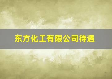 东方化工有限公司待遇