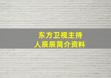 东方卫视主持人辰辰简介资料