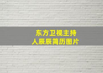 东方卫视主持人辰辰简历图片