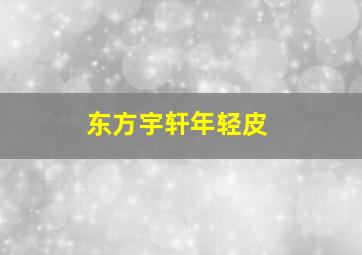 东方宇轩年轻皮