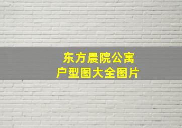 东方晨院公寓户型图大全图片