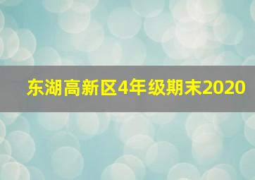 东湖高新区4年级期末2020