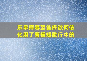 东皋薄暮望徙倚欲何依化用了曹操短歌行中的