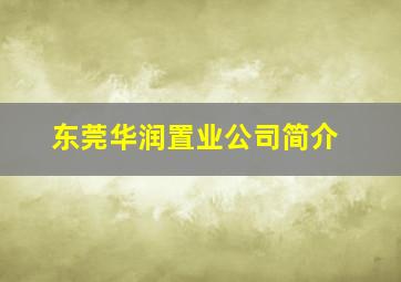 东莞华润置业公司简介