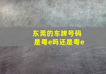 东莞的车牌号码是粤e吗还是粤e