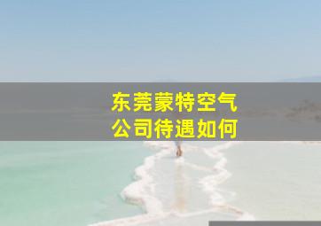 东莞蒙特空气公司待遇如何