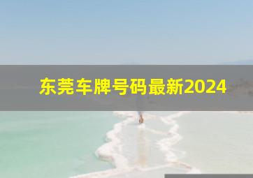 东莞车牌号码最新2024