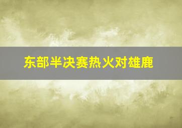 东部半决赛热火对雄鹿