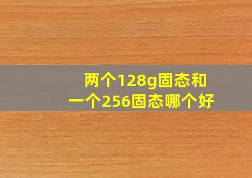 两个128g固态和一个256固态哪个好