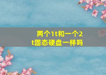 两个1t和一个2t固态硬盘一样吗