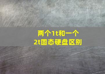 两个1t和一个2t固态硬盘区别