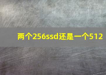 两个256ssd还是一个512