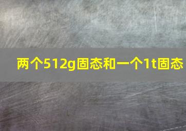 两个512g固态和一个1t固态