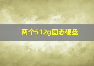 两个512g固态硬盘