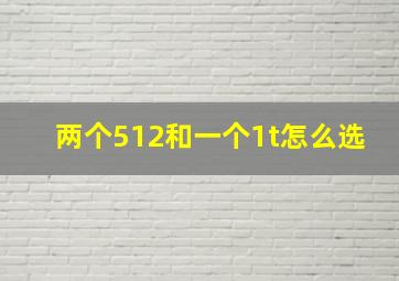 两个512和一个1t怎么选