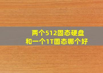 两个512固态硬盘和一个1T固态哪个好