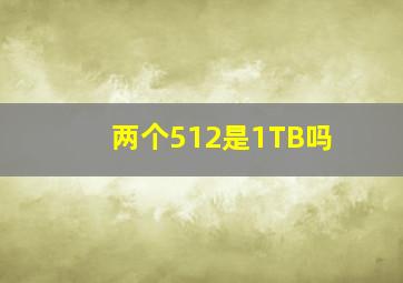 两个512是1TB吗