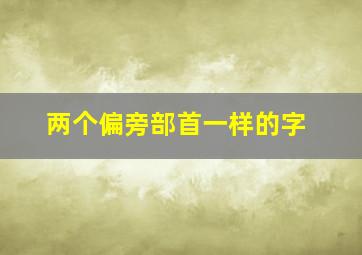 两个偏旁部首一样的字