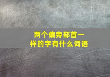 两个偏旁部首一样的字有什么词语