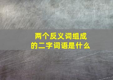 两个反义词组成的二字词语是什么