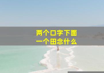 两个口字下面一个田念什么