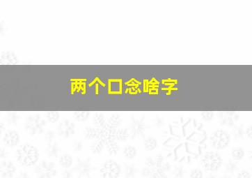 两个口念啥字