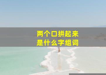 两个口拼起来是什么字组词