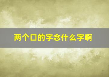 两个口的字念什么字啊