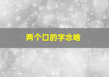 两个口的字念啥