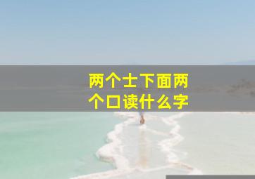 两个士下面两个口读什么字