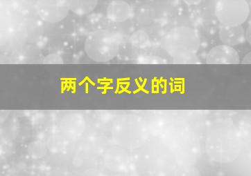 两个字反义的词