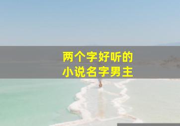 两个字好听的小说名字男主